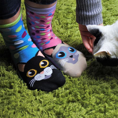 Set 6 Sosete cu Pisici PurrFecte [0]