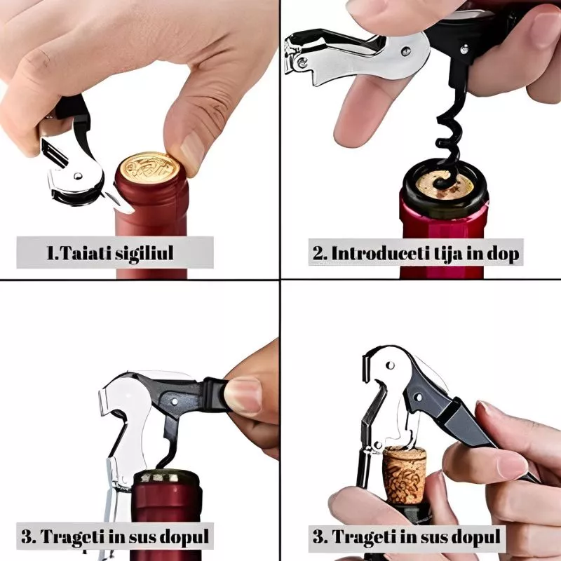 Set accesorii vin, 4 piese, cutie cadou [7]