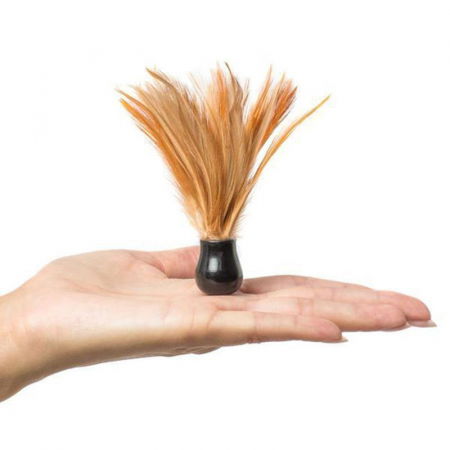 Set cadou afrodisiac Kama Sutra Tropical Mango [2]