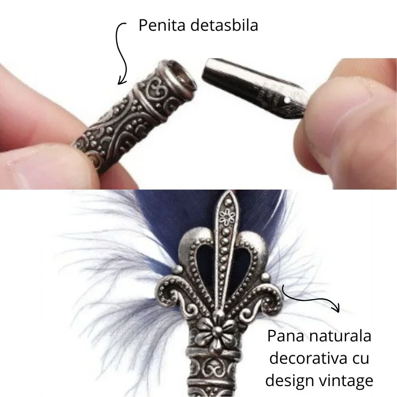 Set cadou Caligrafie Vintage cu Pana paun verde si Cerneala si Accesorii, 7 piese [4]