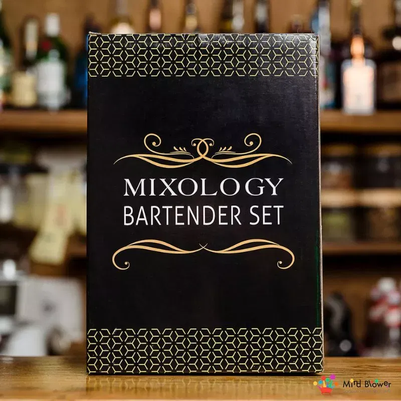 Set cadou Cocktail Shaker Mixology cu 11 accesorii 750ml Negru [11]