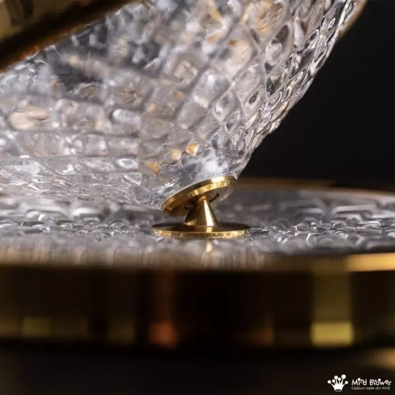 Set Decantor de bauturi Rotativ cu 2 pahare auriu [11]