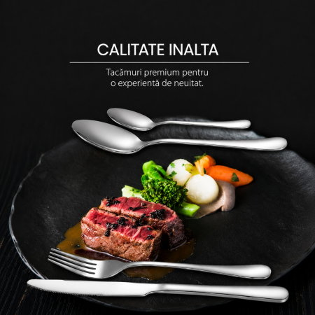 Set tacamuri stil portughez 24 piese argintiu din otel inoxidabil [8]