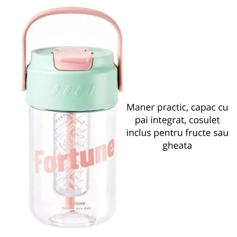 Sticla portabila cu pai [5]