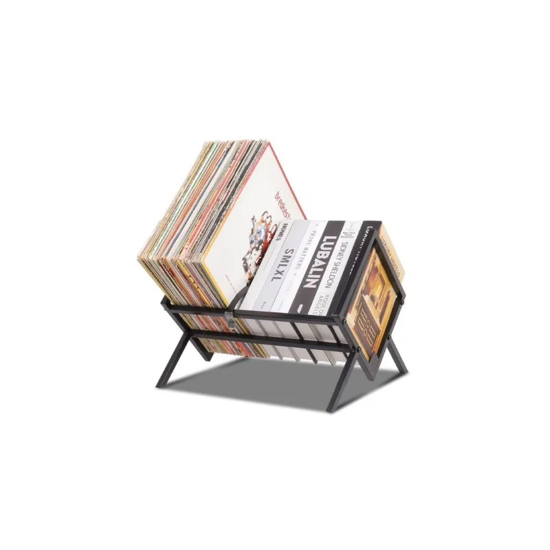 Suport pentru discuri vinil cu design minimalist [9]