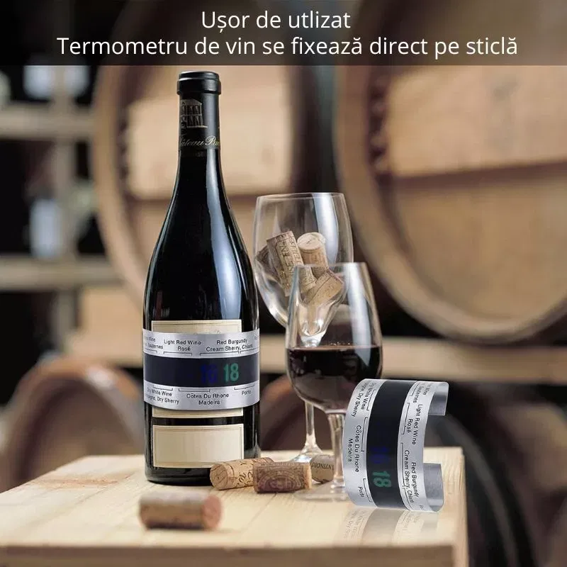 Termometru vin Brau metalic [16]