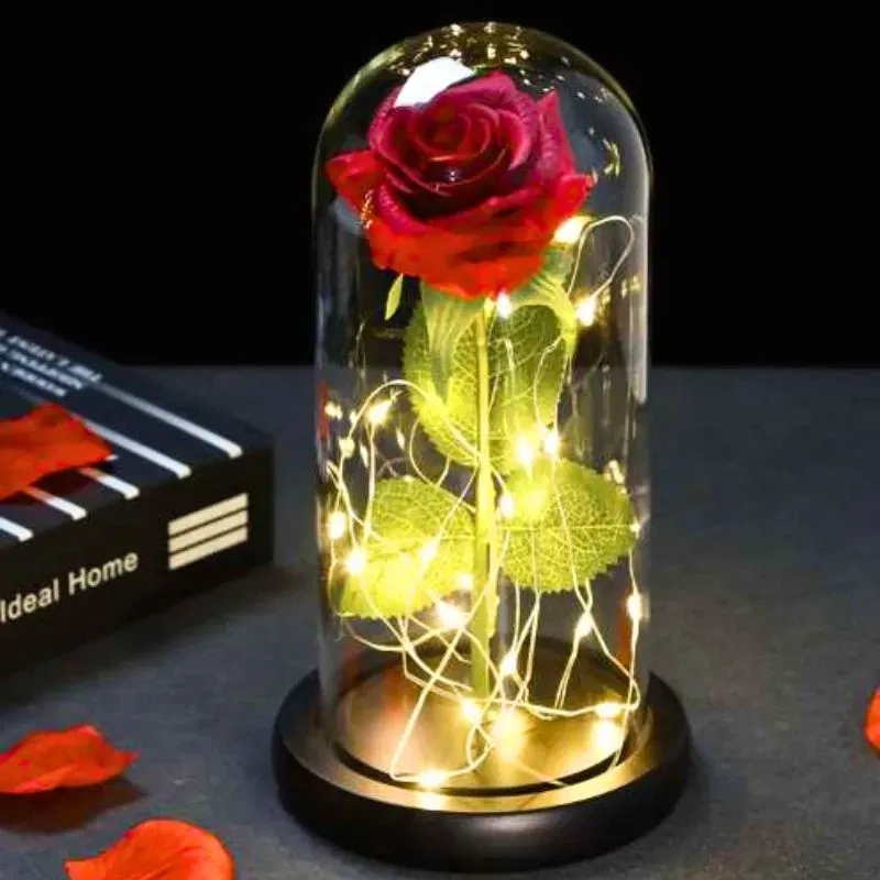 Trandafir in cupola de sticla [1]