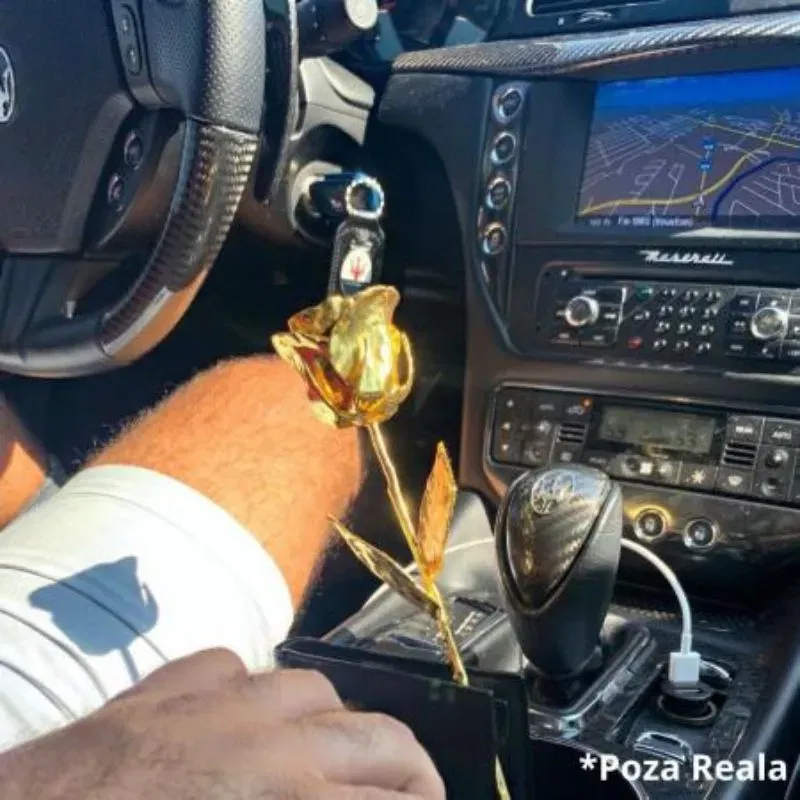 Trandafir placat cu aur de 24K [16]