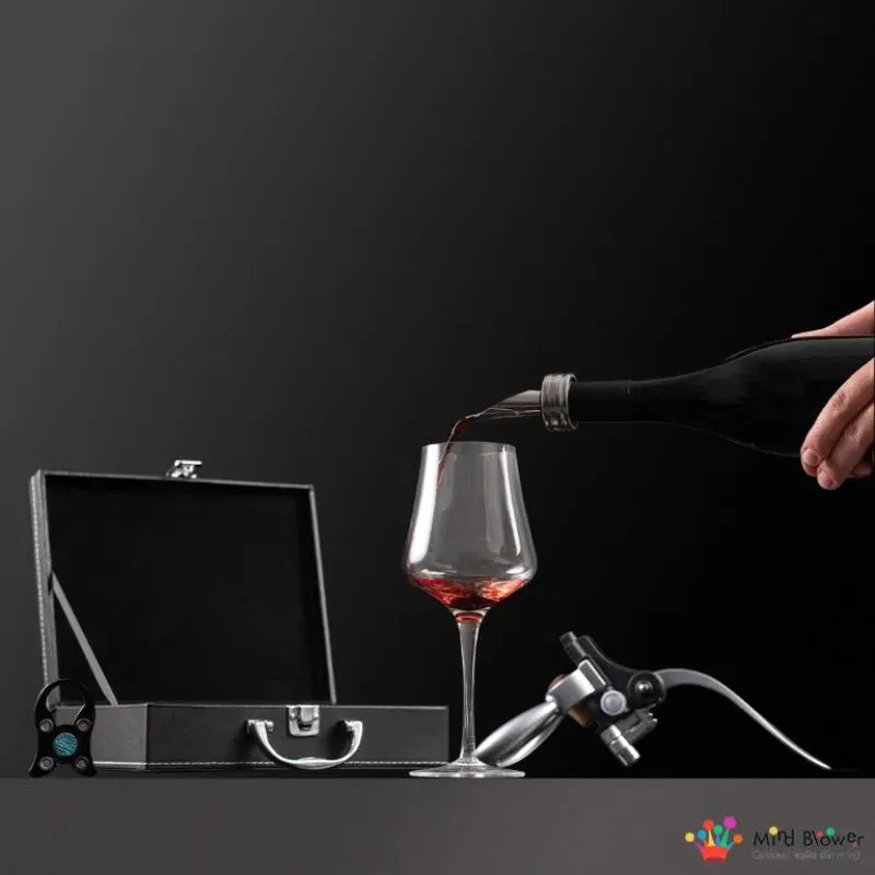 Valiza Deluxe cu accesorii de vin Premium set 9 piese [6]