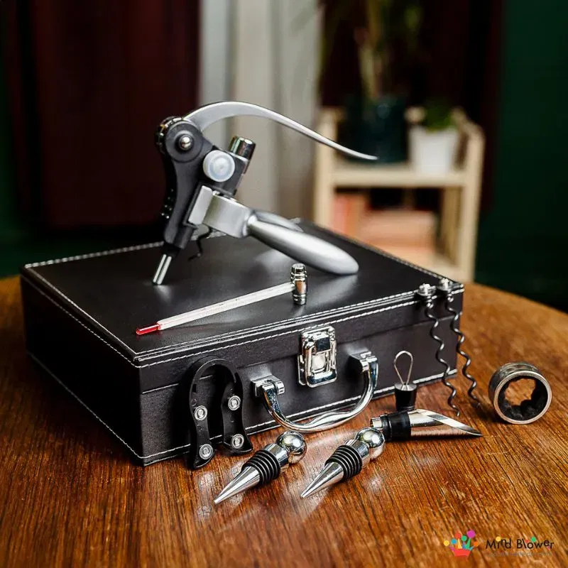 Valiza Deluxe cu accesorii de vin Premium set 9 piese [1]