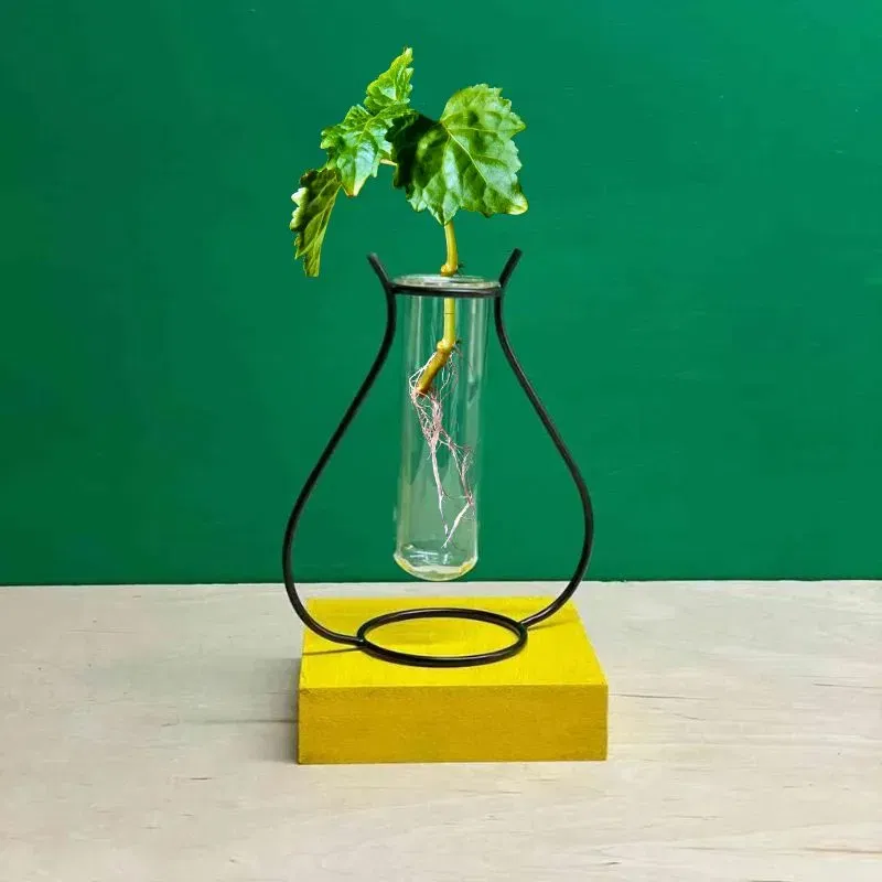 Vaza cu Suport Metalic Zambetul Naturii [0]