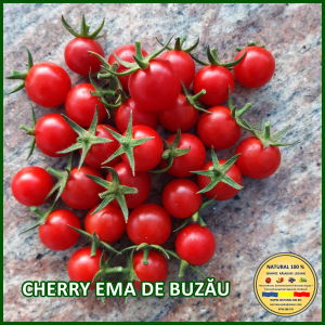 Seminte de rosii - ROSII CHERRY EMA DE BUZAU www.natural100.ro