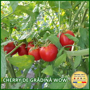 Seminte de rosii - ROSII CHERRY DE GRADINA WOW www.natural100.ro