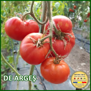 Seminte de rosii - ROSII DE ARGES www.natural100.ro