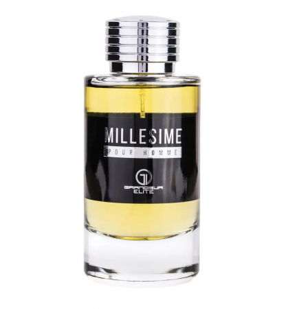 Parfumuri bărbați - Parfum Millesime, apa de parfum 100 ml, unisex - inspirat din Y Edp by Yves Saint Laurent