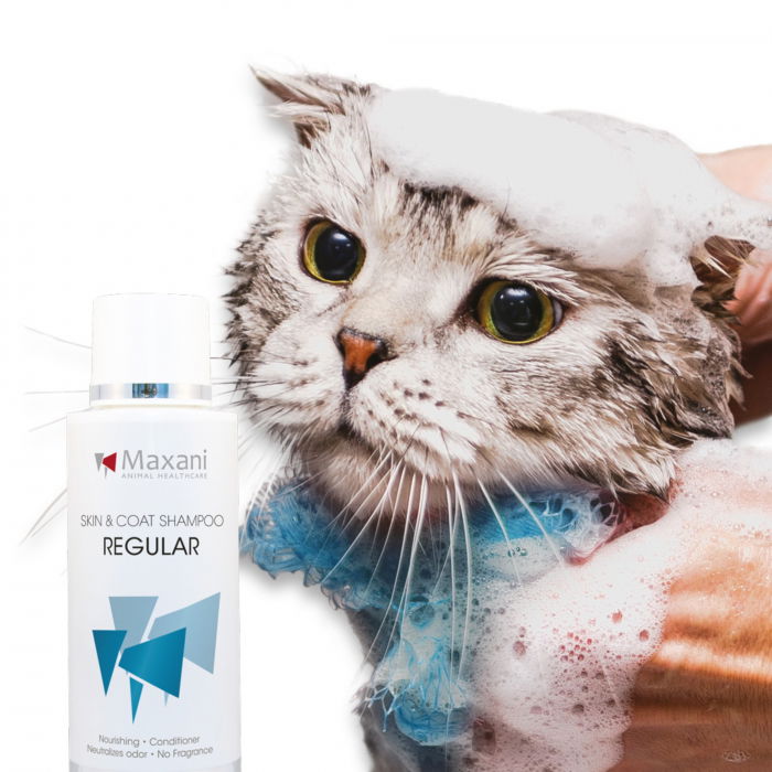 Sampon pentru caini si pisici, Maxani Dirt Off skin & coat shampoo 200 ml [2]