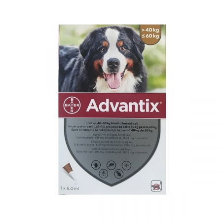 Caini - Advantix 600 Caini (40 - 60 kg), 1 pipeta