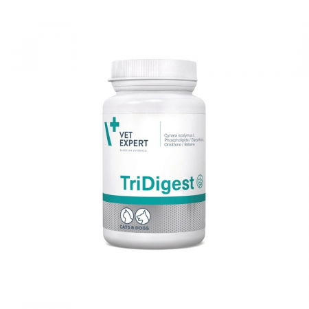 Afectiuni Digestive - TriDigest - 40 tablete