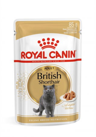 Hrana Uscata Pisici - Royal Canin British Shorthair Adult hrana umeda pisica (in sos), 1 x 85 g