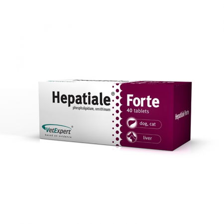 Afectiuni Hepatice - Hepatiale Forte 300mg - 40 Tablete