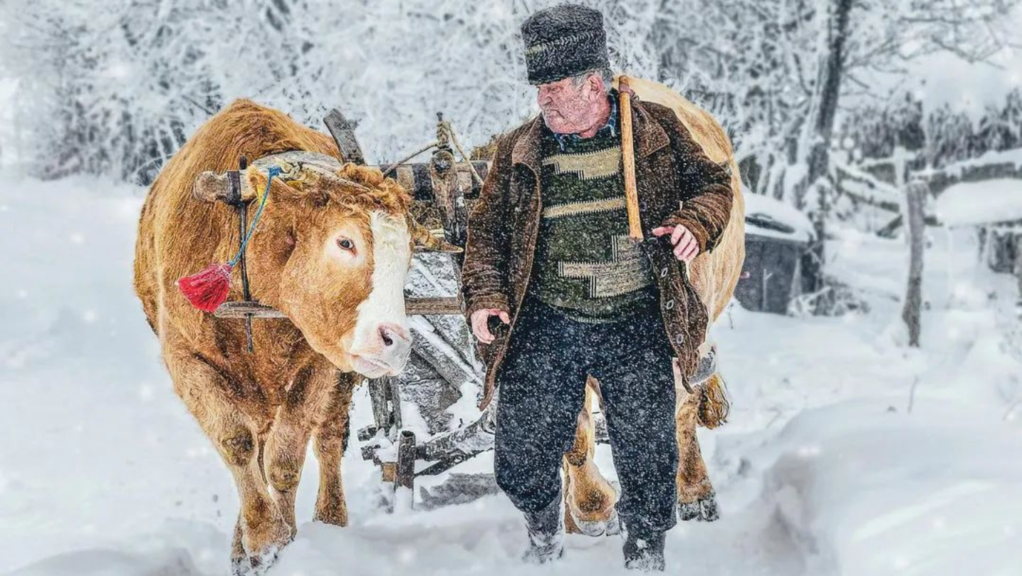 ziua-artei-fotografice-2024