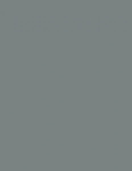 Colorama fundal PVC Slate [2]