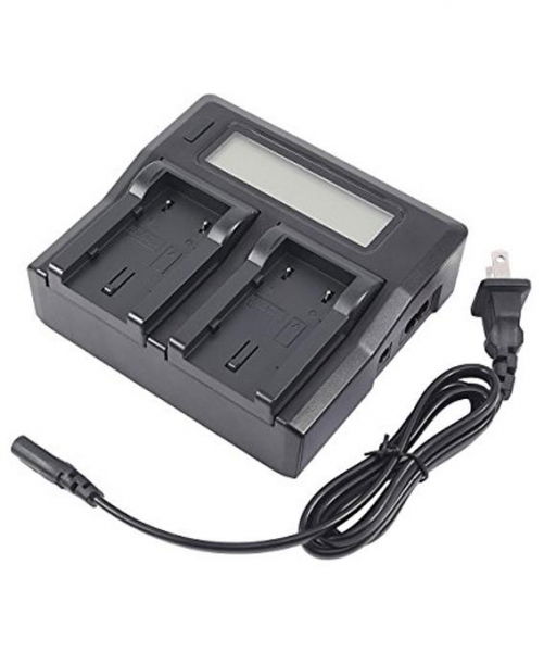 Digital Power Incarcator dual LCD compatibil Acumulator Panasonic DMW-BLF19 [3]