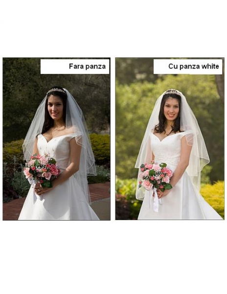 Photoflex LP-3972WG panza gold/white 99x183cm [2]