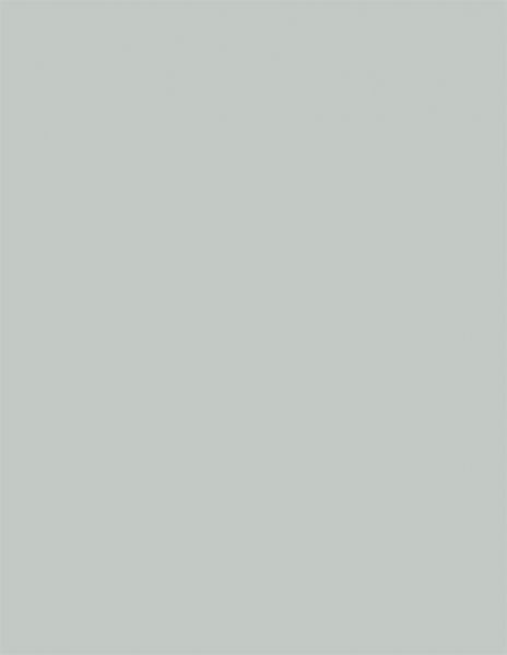 Colorama fundal PVC Dove Grey [2]