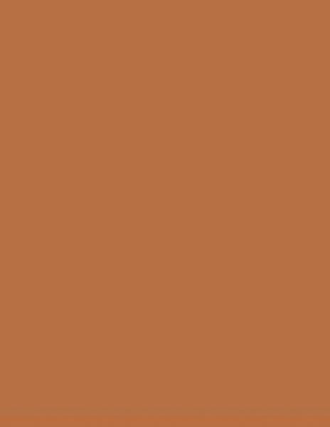 Colorama fundal foto maro Ginger 2.72 x 11m [2]