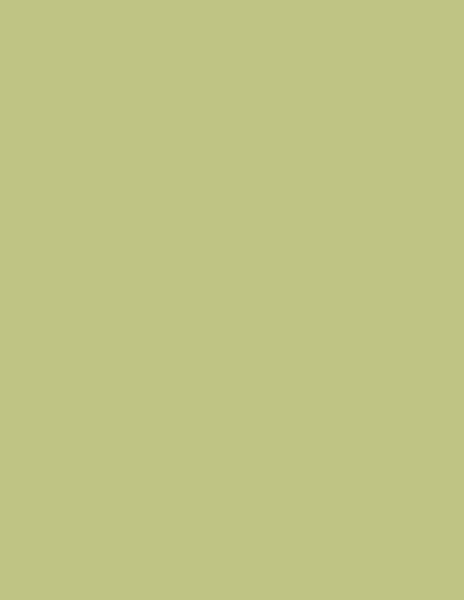Colorama fundal foto verde Fern 2.72 x 11m [1]