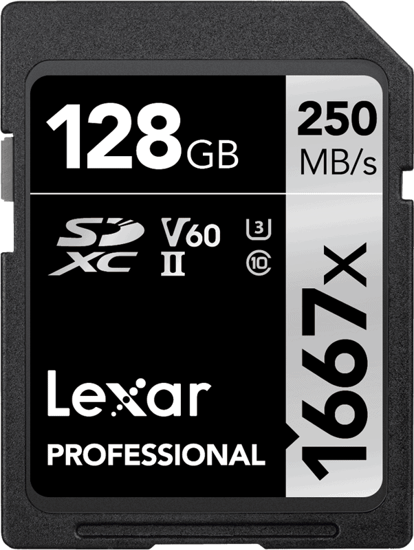 LEXAR CARD MEMORIE SILVER SDXC 1667X UHS-II V60 R250 / W120 128 GB [1]