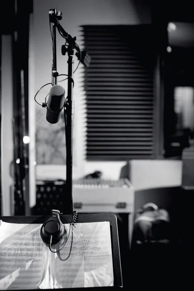 SHURE SM7B Microfon de broadcast si podcast [6]
