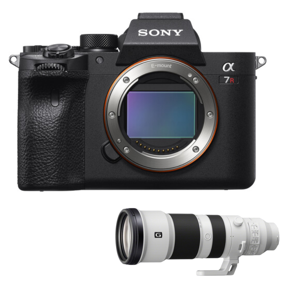 Sony A7R IV + Sony 400-800mm f/6.3-8 G OSS [1]