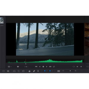 Blackmagic Design DaVinci Resolve 16 Studio (Card activare) [4]