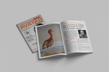 Avatar Photo Magazine Nr. 6 revista educatie vizuala [1]