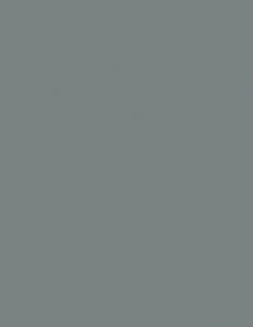 Colorama fundal PVC Slate [1]