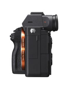 Sony A7 III Kit 24-105mm f4 [7]
