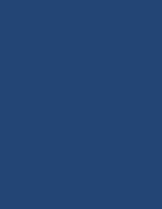 Colorama fundal PVC Navy [1]