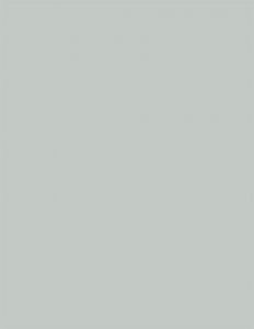 Colorama fundal PVC Dove Grey [1]