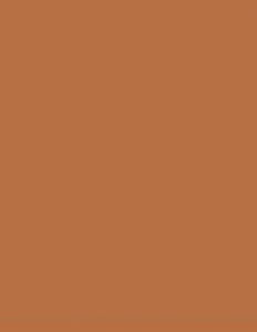 Colorama fundal foto maro Ginger 2.72 x 11m [1]