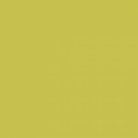 Fundal foto verde Mustard Green 2.72 x 10m [1]