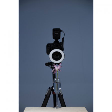 Godox ML150 II Macro Ring Flash [11]