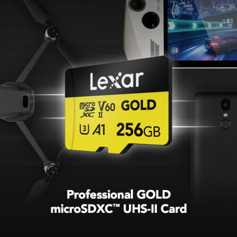 Lexar microSDXC GOLD UHS-II/C10/A1/U3 R280/W180 (V60) 256GB [1]