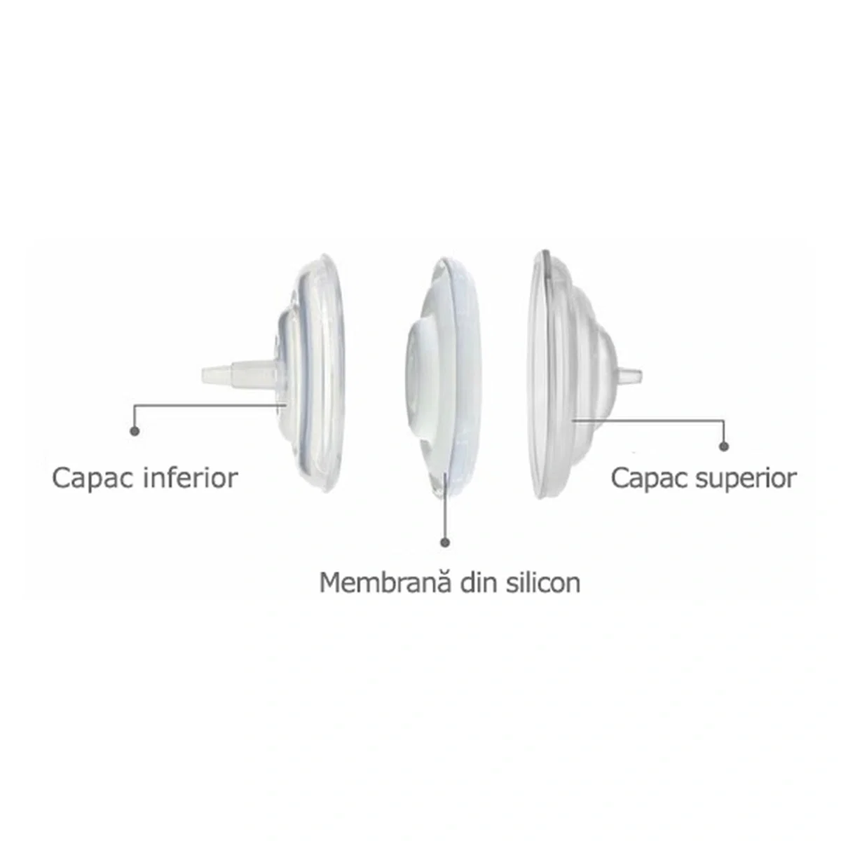 Accesorii pompa - Filtru protectie flux invers SPECTRA [2]
