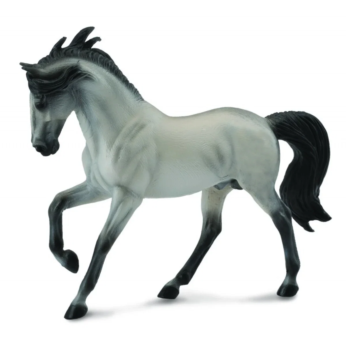 Armasar Murg Andaluz Sur Collecta [1]