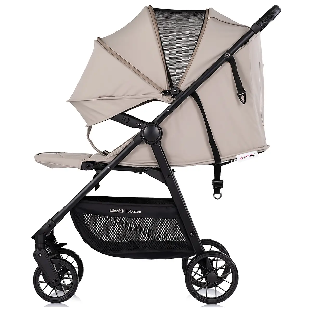 Carucior sport Chipolino Blossom latte [5]