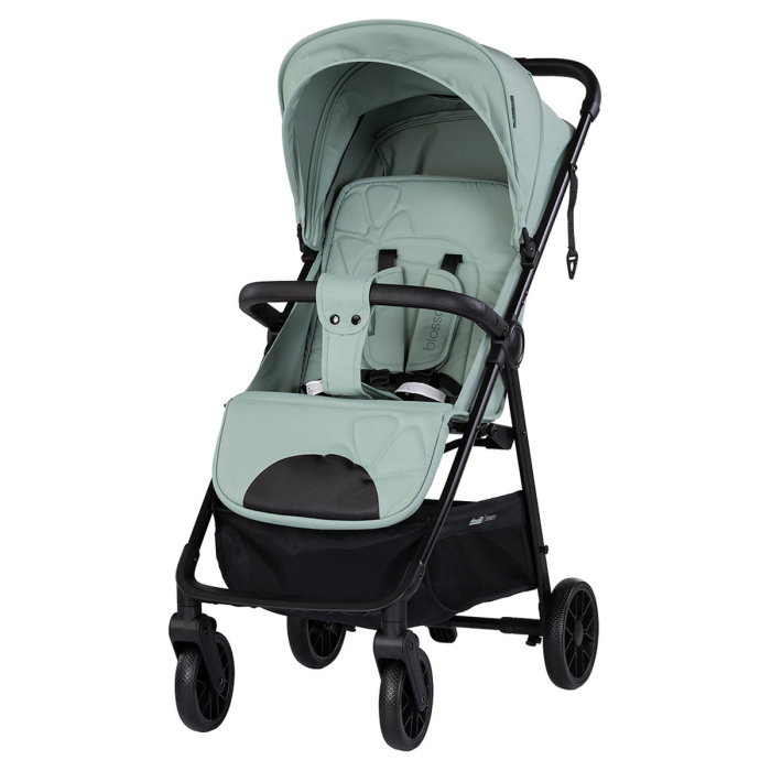 Carucior sport Chipolino Blossom matcha [1]