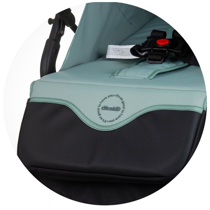 Carucior sport Chipolino Pixie, Basil [8]