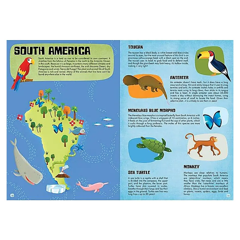 Cunoaste si exploreaza - Lumea animalelor Sassi 6 ani+ [4]